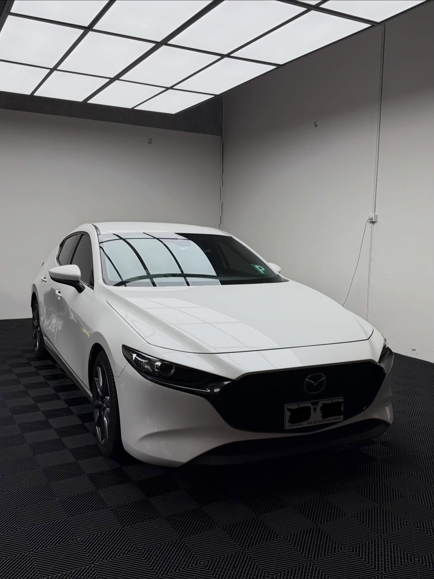Paint Protection Film project 44